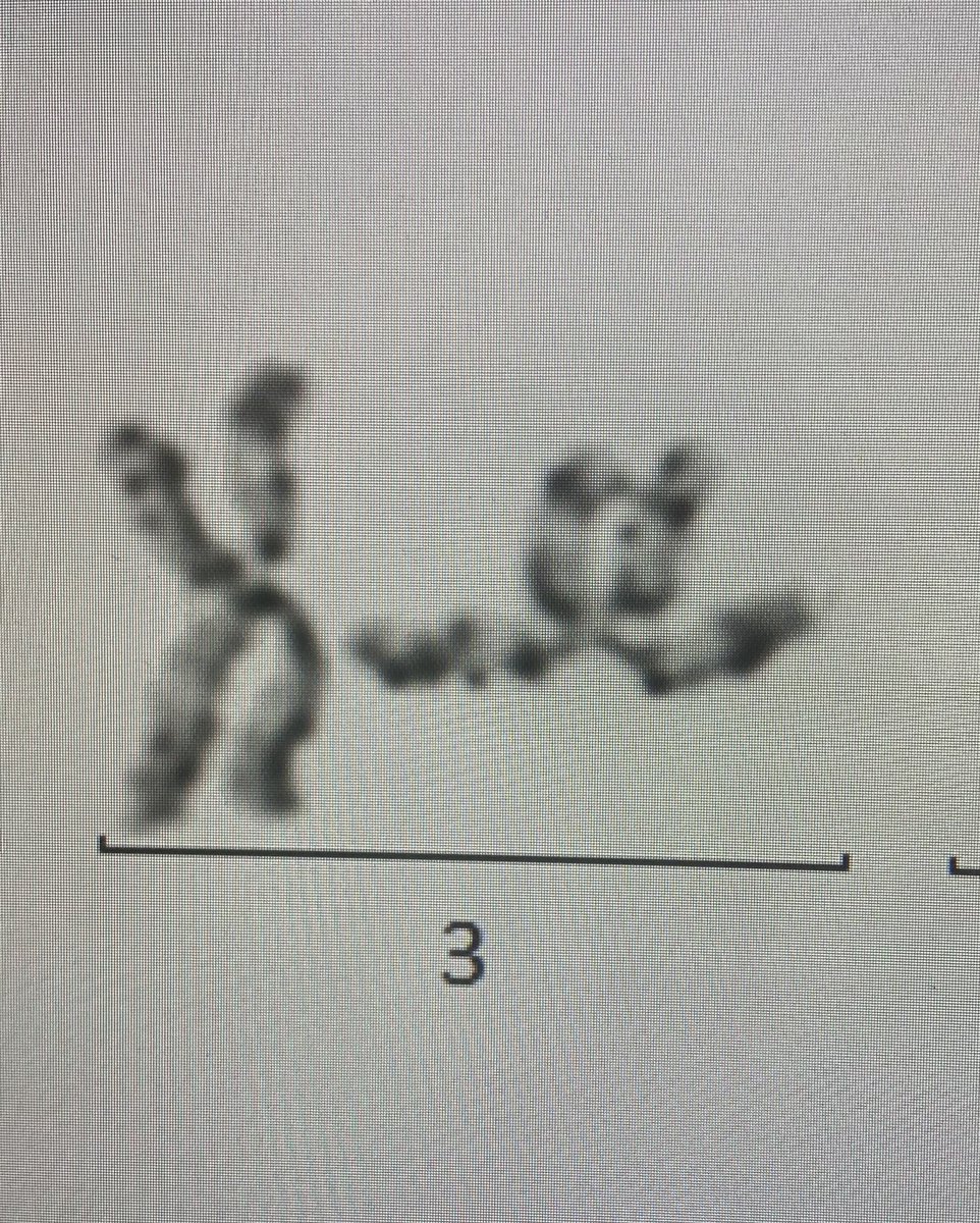 Ballet dance or king fu split  kick