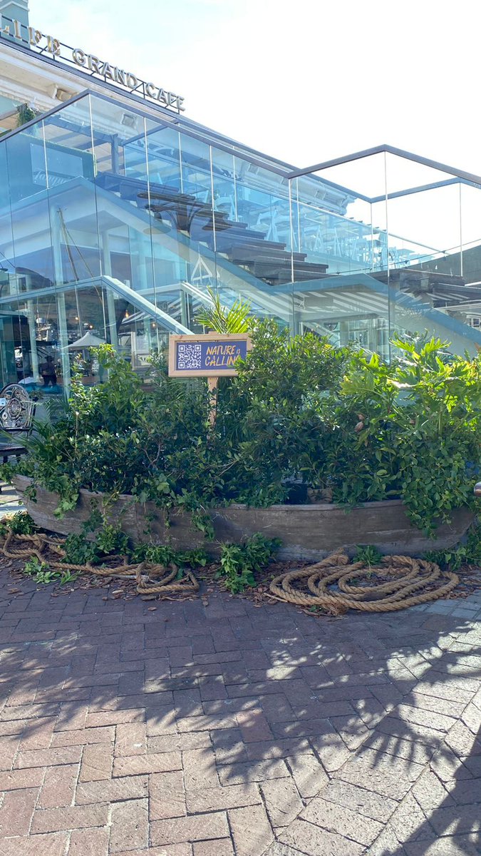 chasingafrica's tweet photo. Trails of nature in the city. 
Has anybody seen it?
#Natureiscalling https://t.co/V8QNhjhE2n