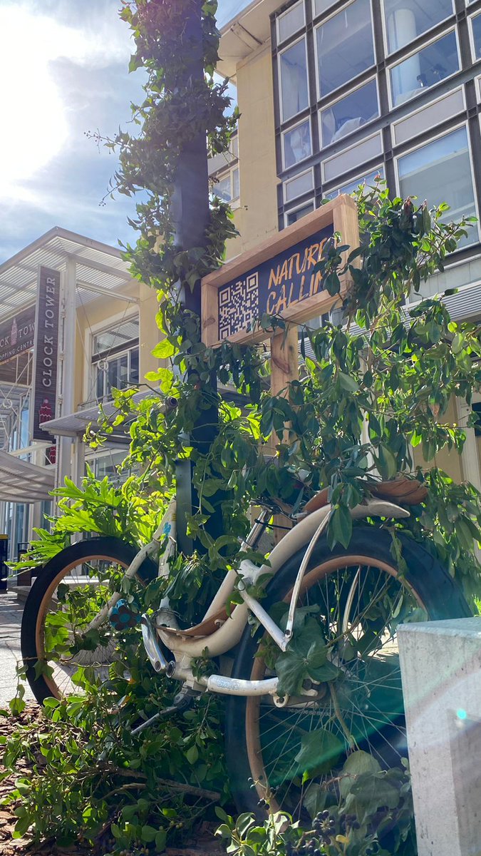 chasingafrica's tweet photo. Trails of nature in the city. 
Has anybody seen it?
#Natureiscalling https://t.co/V8QNhjhE2n