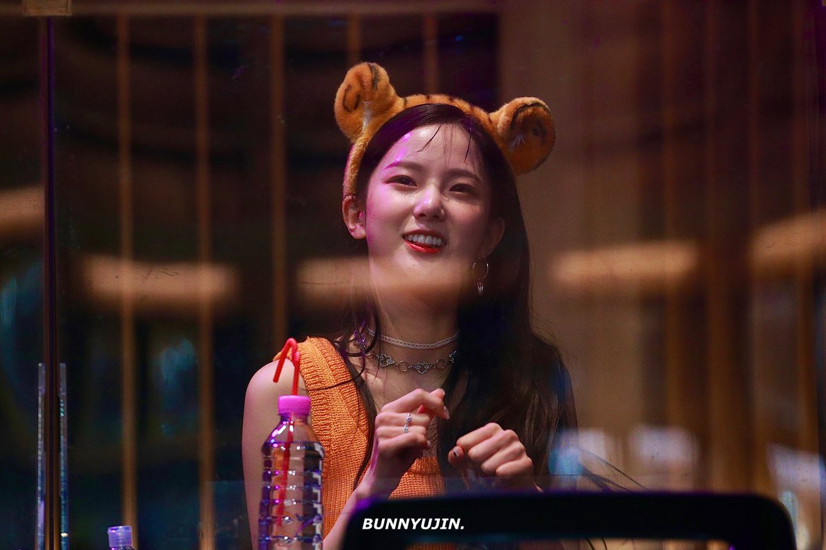 나비 tweet media