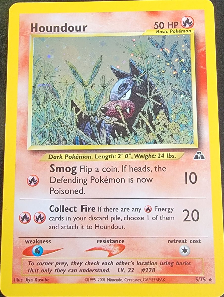 AlexDotDev's tweet photo. Happy Tuesday! The #PokemonCoder of the day is Houndour! https://t.co/mZ97cwTC6A