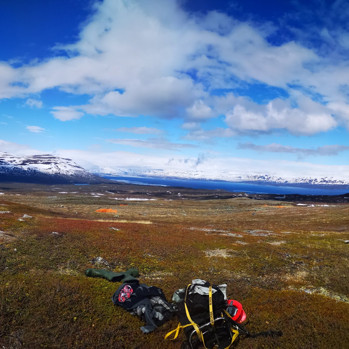 #PhDopportunity  Alert📢! We offer a 4 year, fully-funded🙂 #PhD in #remotesensing. We will use #hyperspectral data from #UAV's🚁 to investigate #vegetation 🌱, #ecosystem properties and #landuse changes in the #Arctic. Located @UmeaUniversity in Sweden -> tinyurl.com/ArcticUAVphd