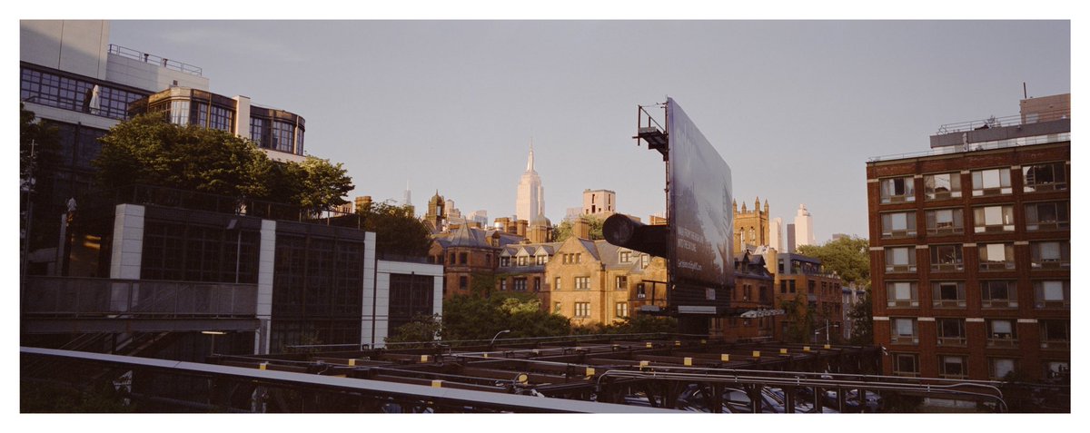 Maxwell Schiano tweet media