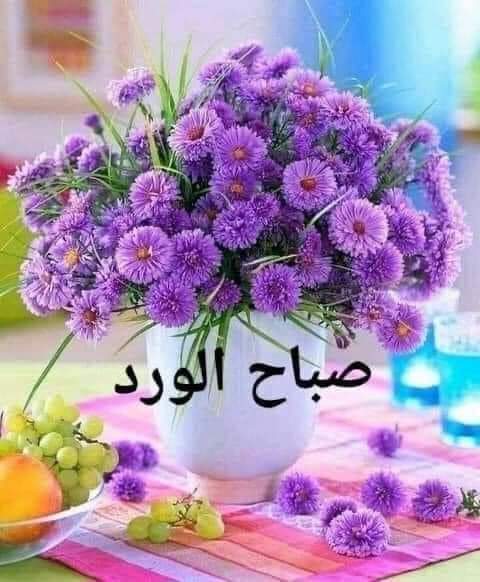 <a href="/Tarekeedmohame2/">Tarek eed mohamed</a>