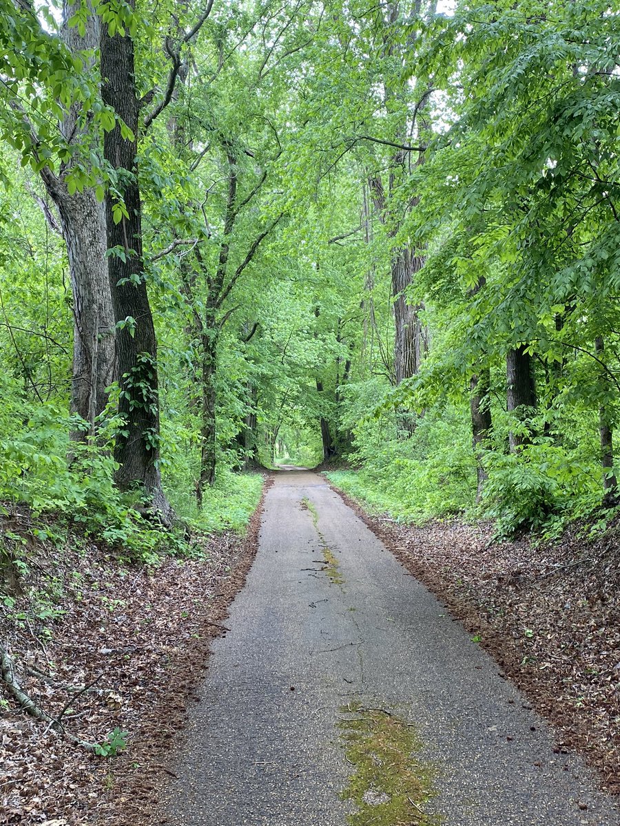 payers19701's tweet photo. Nothing like a beautiful road to make you contemplate the journey. #farmlife https://t.co/SZCnBS4LHQ