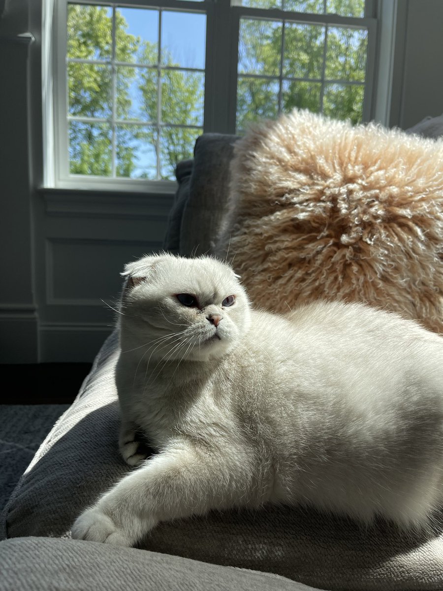 Lirik (@lirik) on Twitter photo 