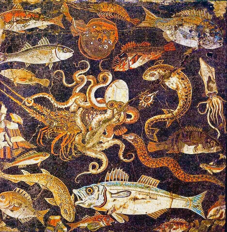大变活人on Twitter 海洋生物马赛克 公元前1 世纪 公元1 世纪 最初是在庞贝的农牧神庙 现在保存在那不勒斯国家考古博物馆 T Co 9yyrsrxdby Twitter