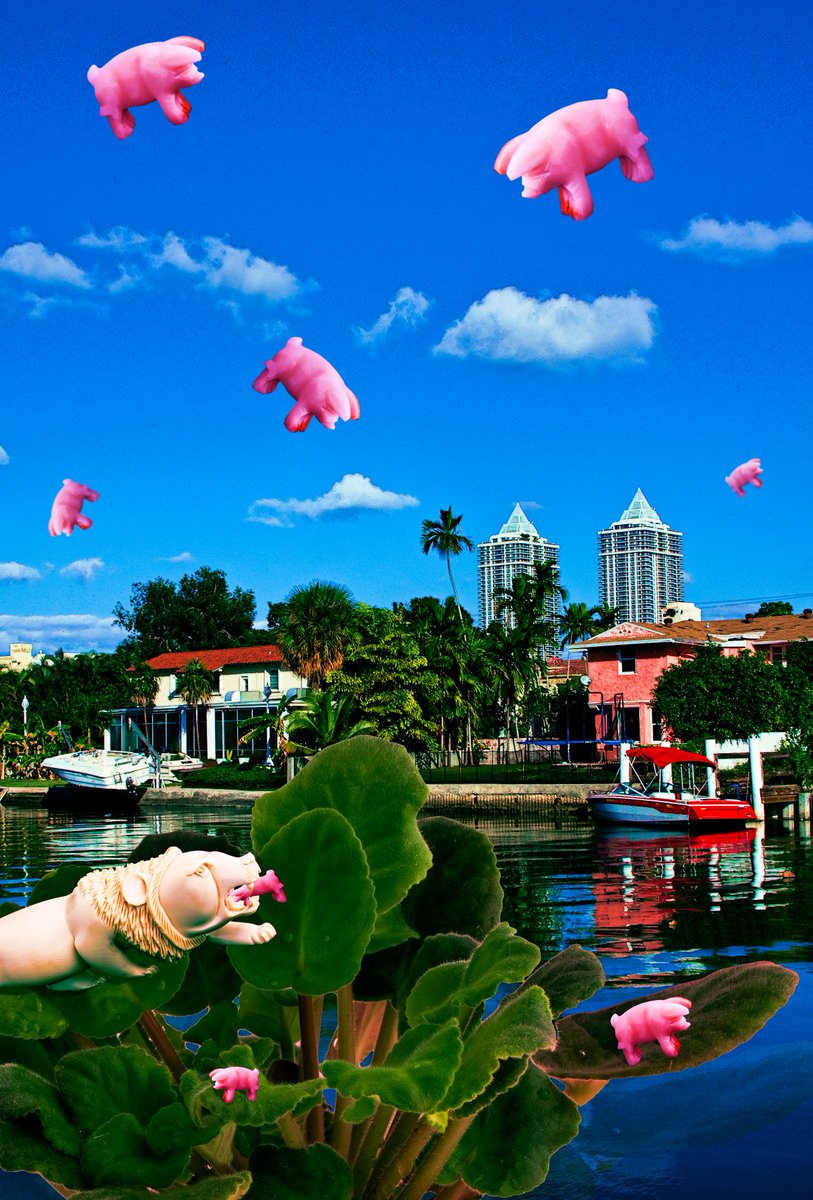 iamstevenmorse's tweet photo. “Keep some room in your heart for the unimaginable.”
Mary Oliver
#DiGiMint #2 - Dreaming of Flying Pigs
https://t.co/nkwIQ1APj6
#PigsFly #LionsEat #NFTPhotography #Photography #Art #NFTArt #OpenSea https://t.co/2KNzb4YC91
