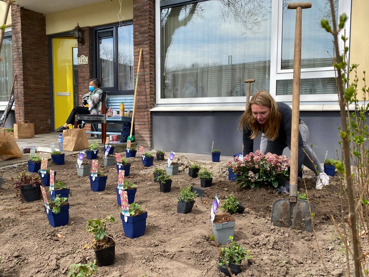 Webinar ‘Pesticidevrije tuinen’ - donderdag 16 juni 16.00-17.00
 Programma: steenbreek.nl/16-juni-inspir…
Aanmelden: kennislab.typeform.com/to/PO099Ff4...