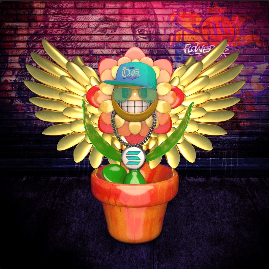 Fiddy_sol's tweet photo. So happy with one. Amazing Birthday gift from my brother @hyperstrike

The question is am I gonna make this a special 1... This art piece from @buildestroy7  is already insane. Guess I need to keep an eye on the market to make an insane pair

#LFGROW #Solflower $FLWR https://t.co/MZJGtaifT8