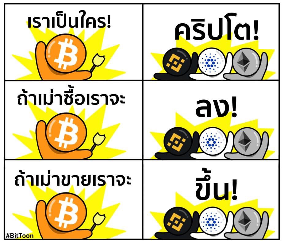 bittoonfunny's tweet photo. เยี่ยมยอด https://t.co/1WTUaVwk7m
