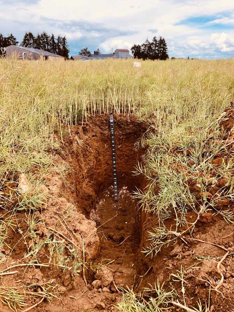 SoilCapital's tweet photo. Venez observez le #slaketest sur notre stand à #techetbio Grandes Cultures dans le Cher. On vous explique comment fonctionne notre programme #carbone en partageant une 🍺 bière belge dont l’orge est produite en #agriculture régénérative. 🌱 https://t.co/IR5ZjBdIZh