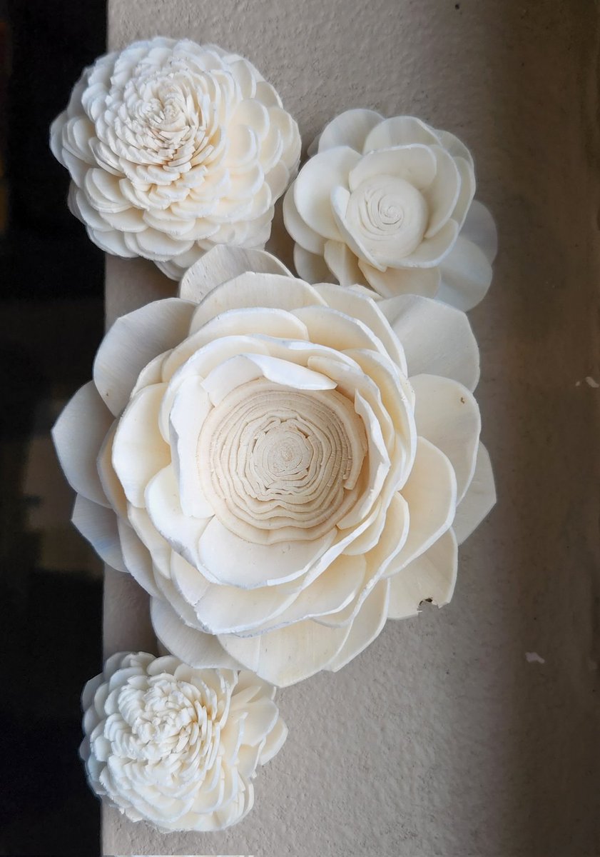 SprungPage's tweet image. Flowers have arrived.... Can't wait to turn these into something beautiful! 

#WoodFlowers