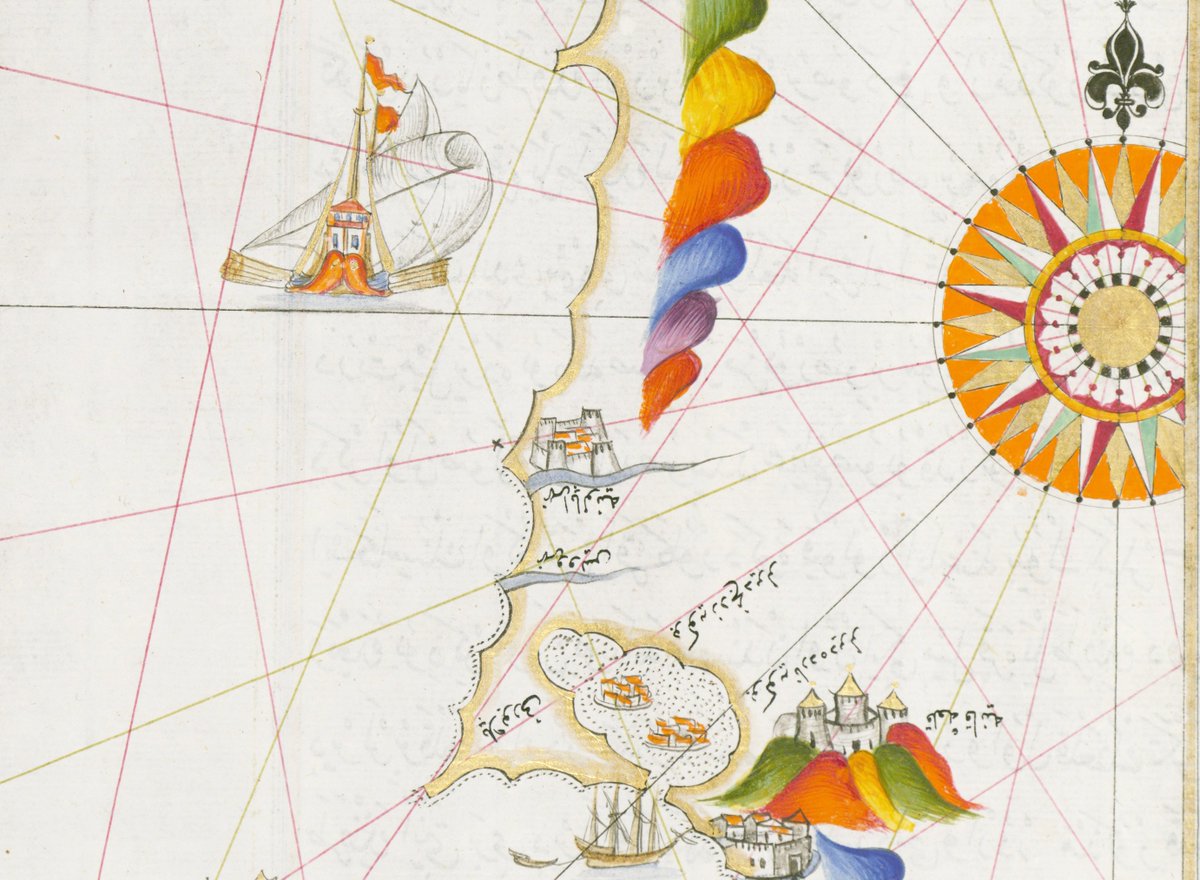 Julian Bogdani tweet media