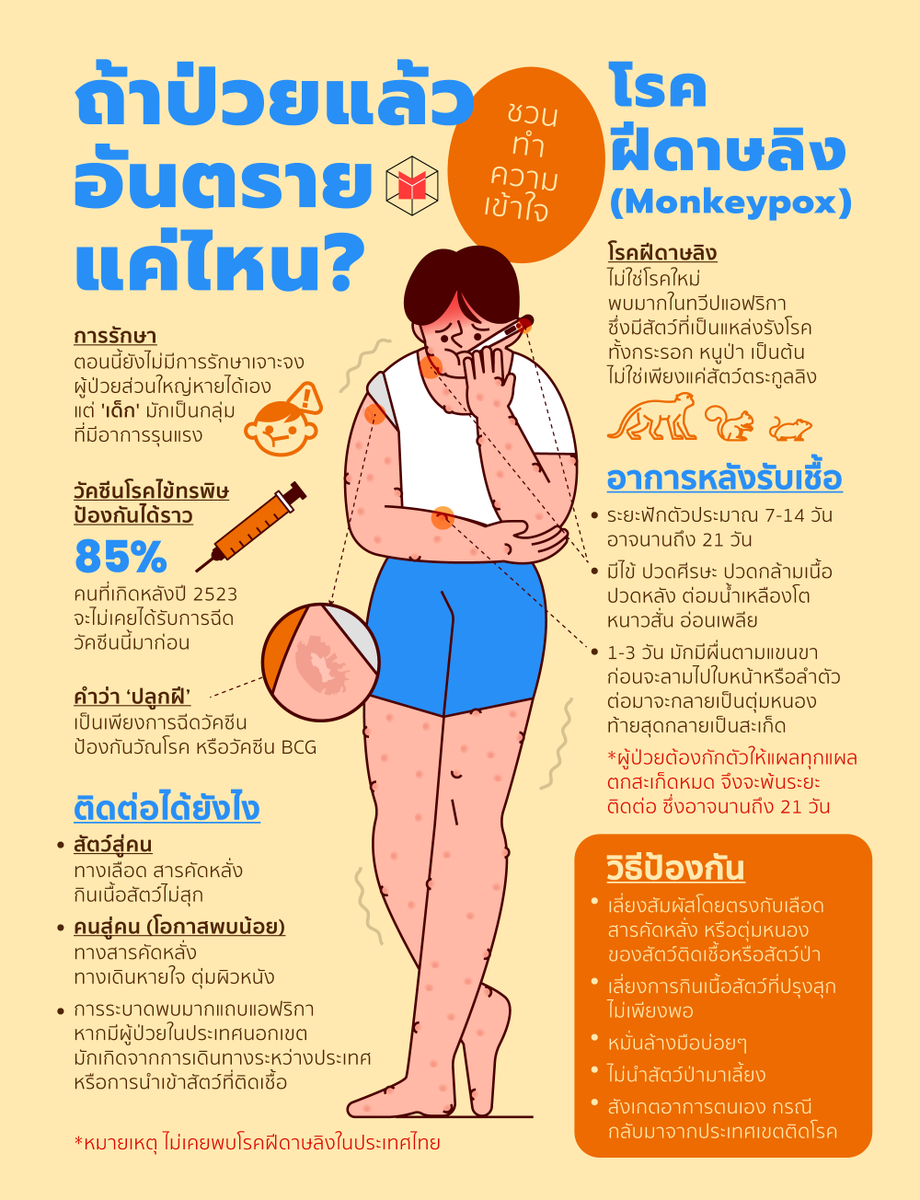 thematterco's tweet photo. ฝีดาษลิงคืออะไร? จะมีโอกาสมาถึงไทยไหม?

ชวนทำความเข้าใจ โรคฝีดาษลิง (Monkeypox) ที่กำลังมีผู้ติดเชื้อก็เพิ่มขึ้นอย่างรวดเร็ว ทั้งในสเปน โปรตุเกส อังกฤษ อเมริกา 

อ่านต่อ https://t.co/Titbil0Tdc https://t.co/TMrSfxAmKU