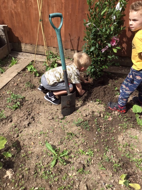 Bright Horizons Fair oak tweet media