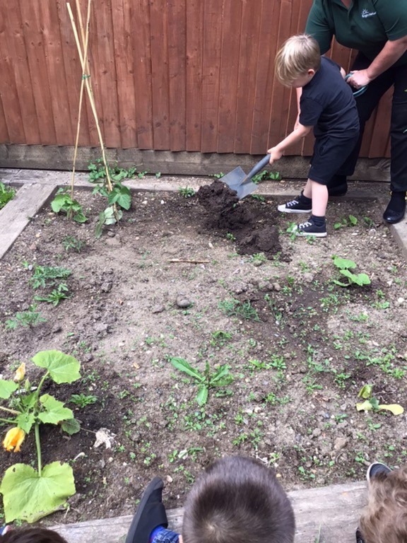 Bright Horizons Fair oak tweet media