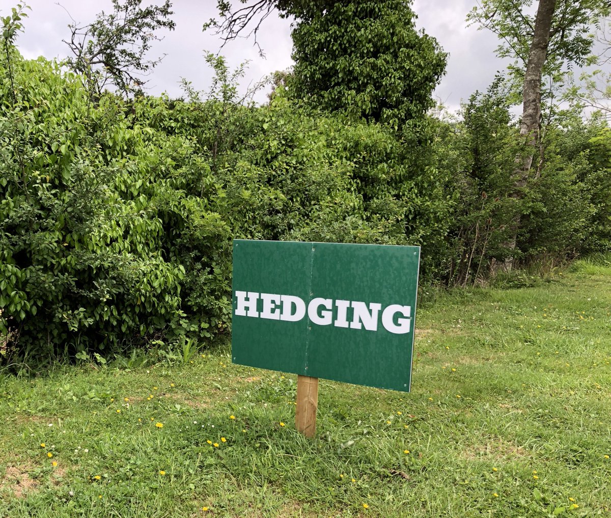 QuintinLake's tweet image. Doesn’t everyone know that?
#pilgrimsway #northdownsway