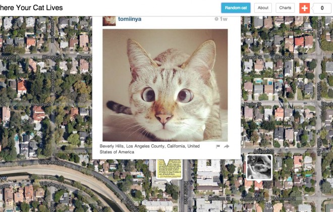 suments's tweet photo. Más de 1 millón de gatitos han sido geolocalizados por los metadatos de las fotos en un mapa mundial. 

😺 https://t.co/K1ckZTJ9Yj

¿Eliminas los metadatos de las fotos antes de subirlas a Internet? 

#Metadatos #Fotografía #Geolocalización #Privacidad #ProtecciónDeDatos https://t.co/Alp24087Rg