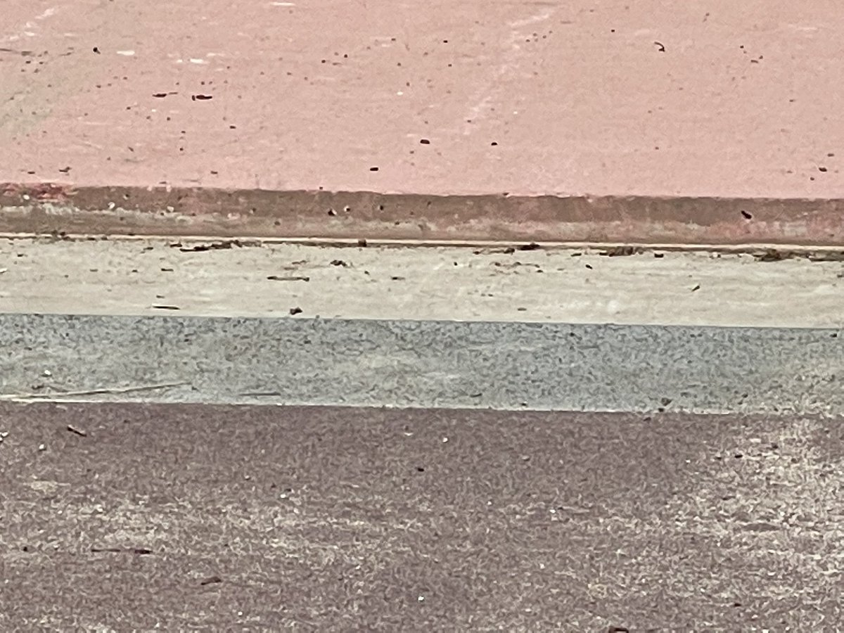 Bart Schols tweet media