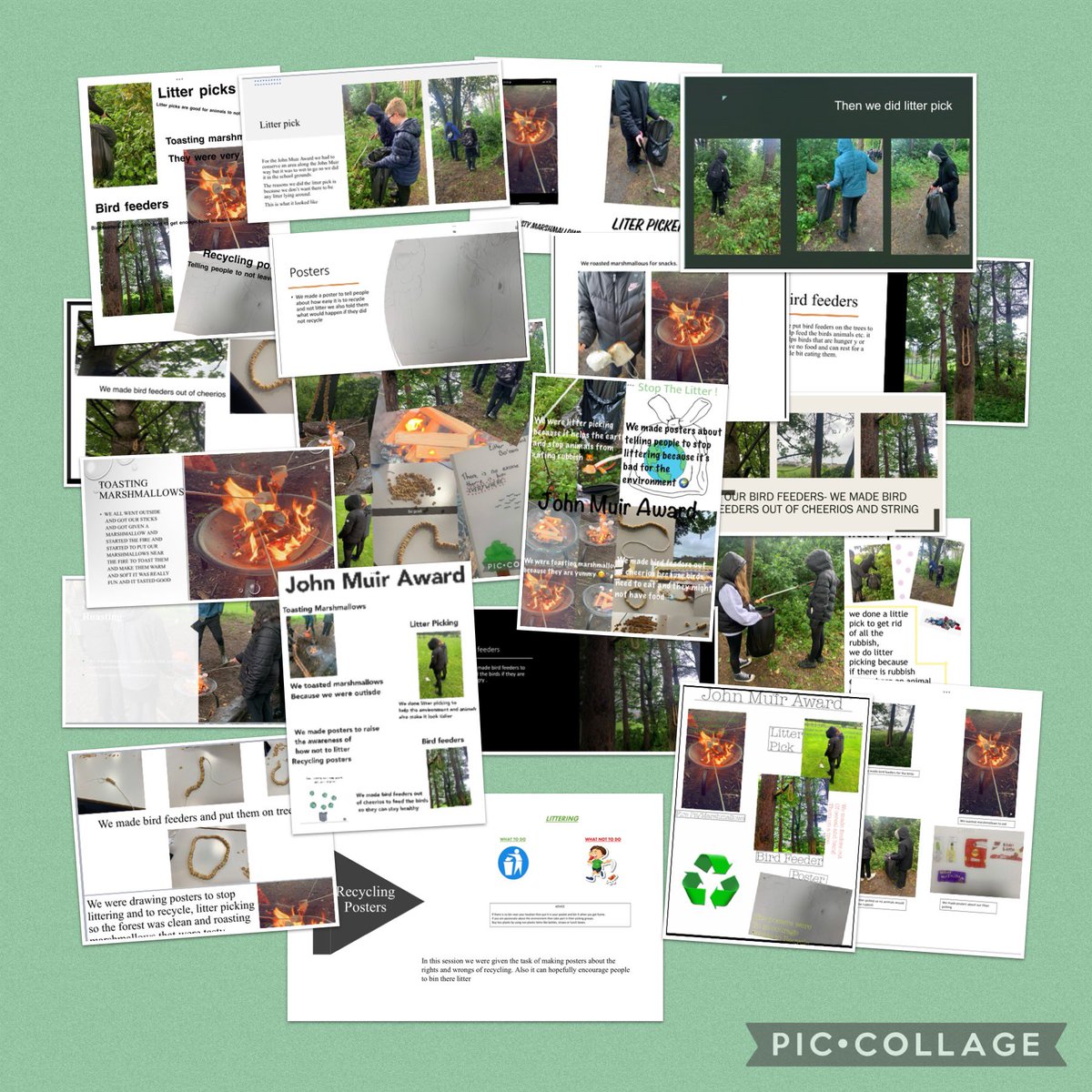 <a href="/BA_SocialSubs/">BA Social Subjects & RMPS</a> <a href="/Boness_Academy/">Bo'ness Academy</a> would love to share the work of Kinglass A for the John Muir Award 🌲