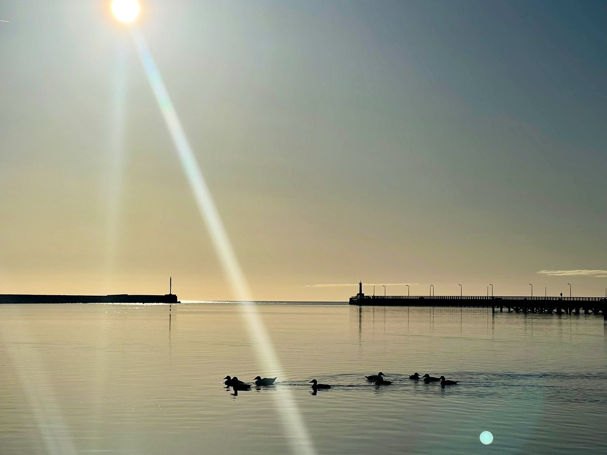 Stephanie Holt🦊 tweet media