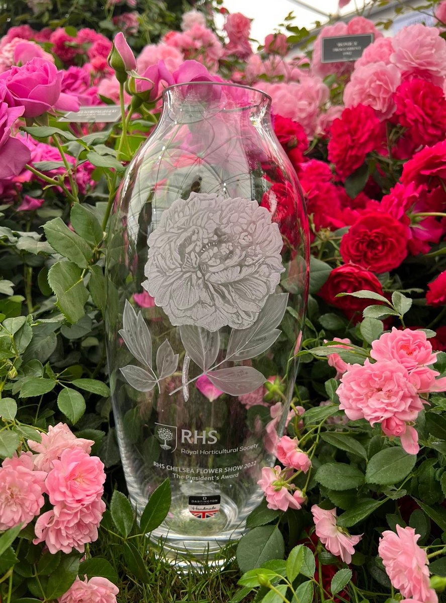 We are very excited to announce that we have been presented with the President's Award at the RHS Chelsea Flower Show 🌹

#rhschelsea #RHSChelseaFlowerShow #roses #rose #gold