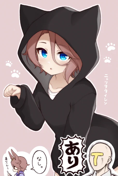 #軽い気持ちで描いたら思った以上に反響があった絵
思いつきと勢いだけで描いた猫耳パーカータイシン
通称ニャリタタイシン 