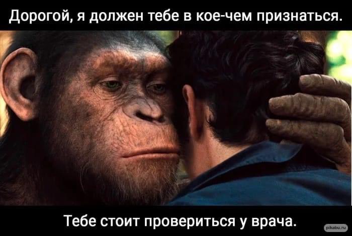 bulygin499's tweet photo. Если эпидемия началась в Азии  - там кого-то не того или не так съели. Если в Европе - кого-то не того и не так выебли. https://t.co/bztALOPZex