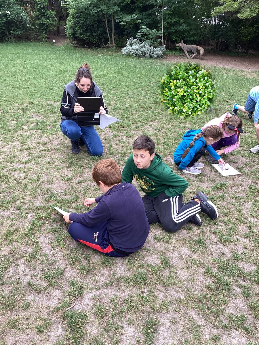 Over Primary School tweet media