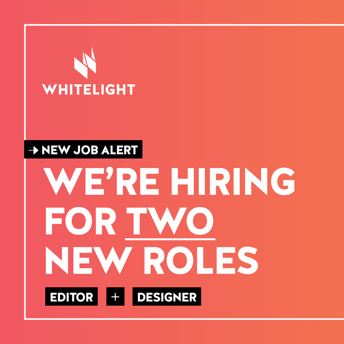 White Light Media tweet media