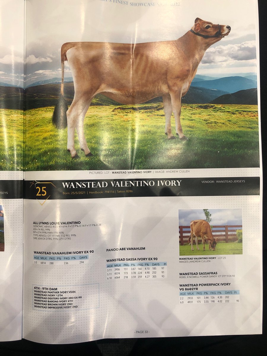PeterRoach3's tweet photo. Lot 25 Wanstead Valentino Ivory sells $4500
#DairysFinest https://t.co/Wq9q3Pdqmf