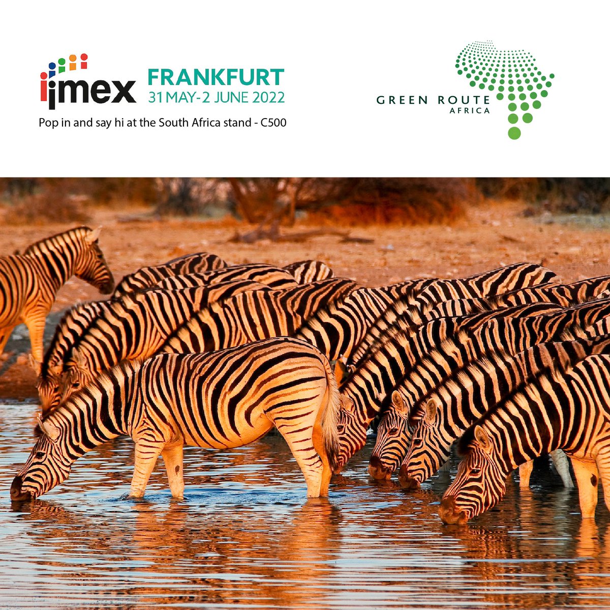 Green Route Africa tweet media