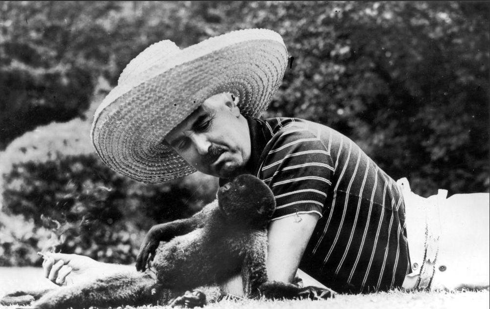 Masculinities in Design tweet media