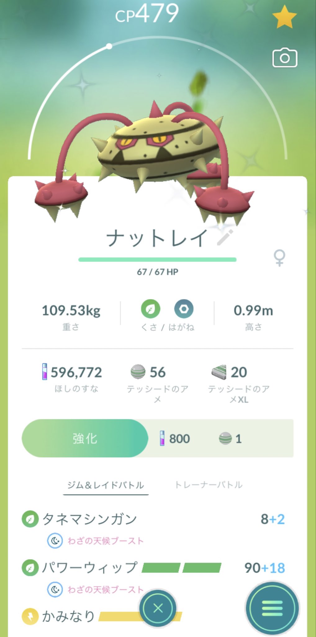 テリテリシュシュ テッシードの色違いが あまりにも可愛いすぎて ナットレイ勝手に期待して 勝手にショック受けてたww 想像と違うお色味でした だけどcp500以下の バトルリーグでは大活躍 してくれました テッシード ナットレイ 色違い