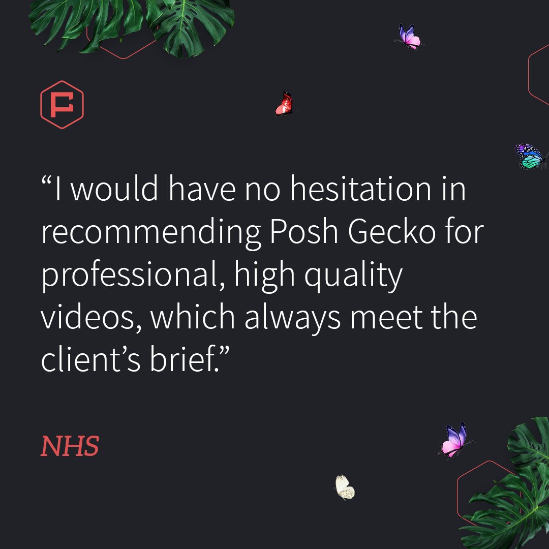 PoshGecko's tweet image. We do try...⁠😁

#videoproduction #animationstudio #animationagency #review #creativeagency #motiondesign #testimonial