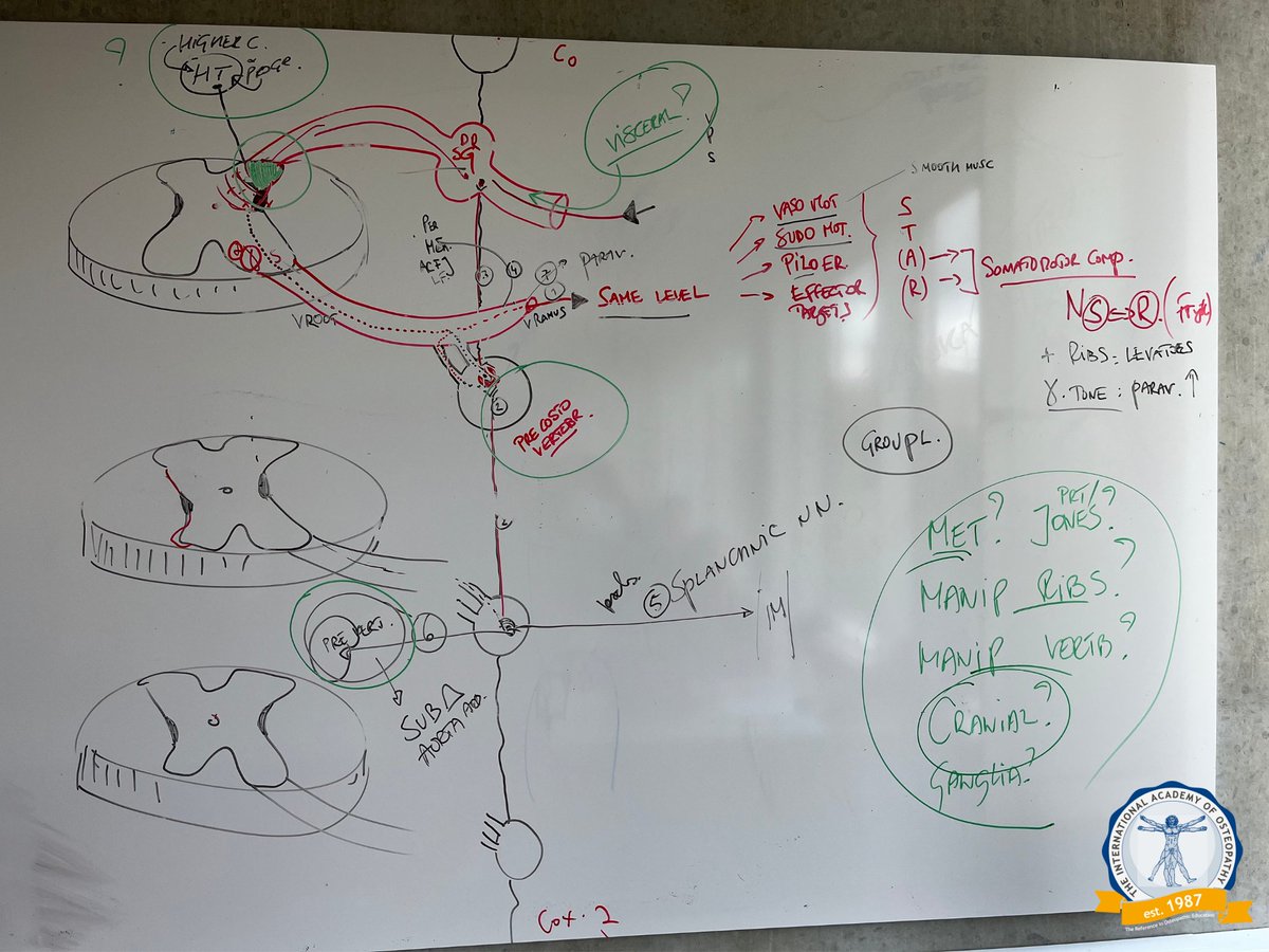 IAOenglish's tweet photo. Last integration/autonomic Neuro-session before final exams in June for the MSc.Ost. kandidates 2021-2022 Copenhagen, Denmark. Thank you @fredericvanburm  for sharing your knowledge &amp; expertise.
We Master it, because we Love it! 💛 #Osteopathy
.
#IAOCopenhagen #copenhagen https://t.co/8TvORBwRWK