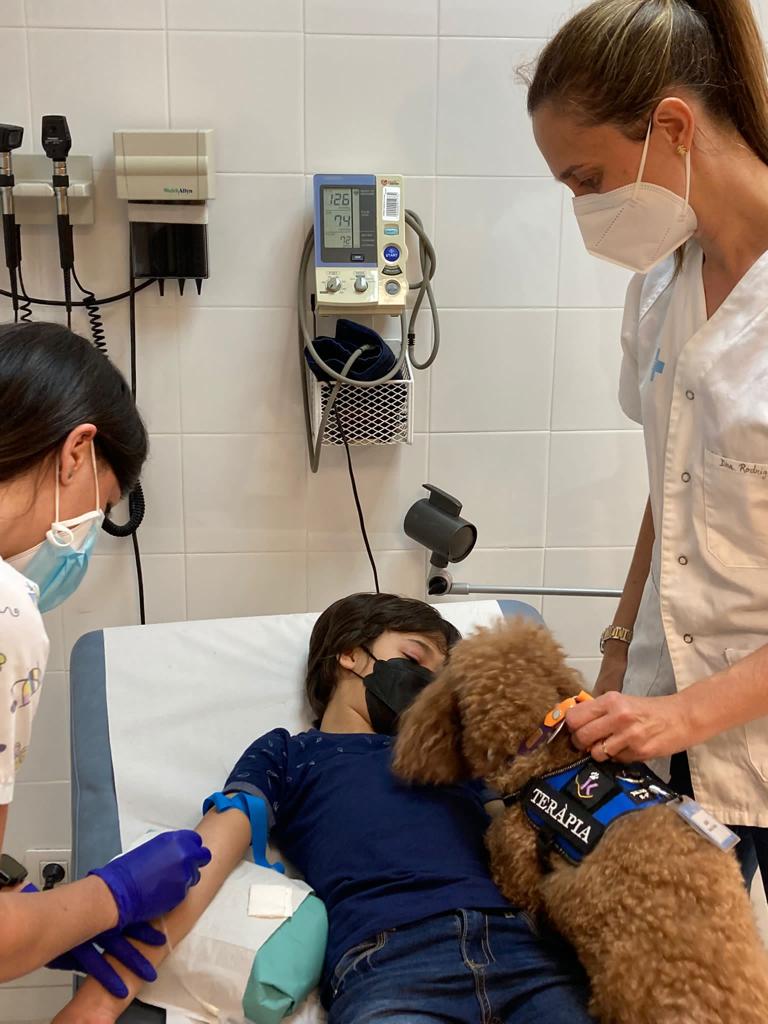 Saps que és el projecte de teràpia assistida amb gossos Extra-Can?🦮

L'#EAPPrimerdeMaig de #Lleida inicia teràpia canina per reduir l'ansietat dels infants que s'han de sotmetre a una extracció sanguínia o dental🦷

➕info del projecte: ja.cat/7kq5z
<a href="/IDIAPJGol/">IDIAPJGol</a> <a href="/icscat/">ICS. Generalitat</a>