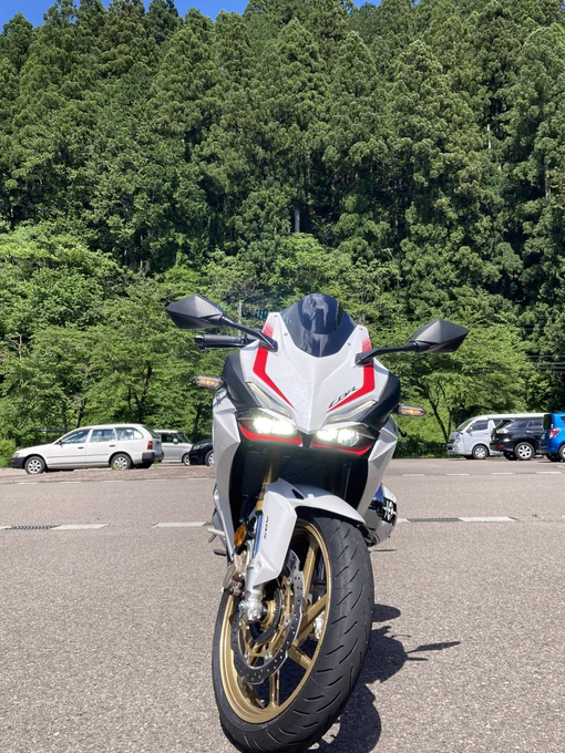 写真載せるだけ 