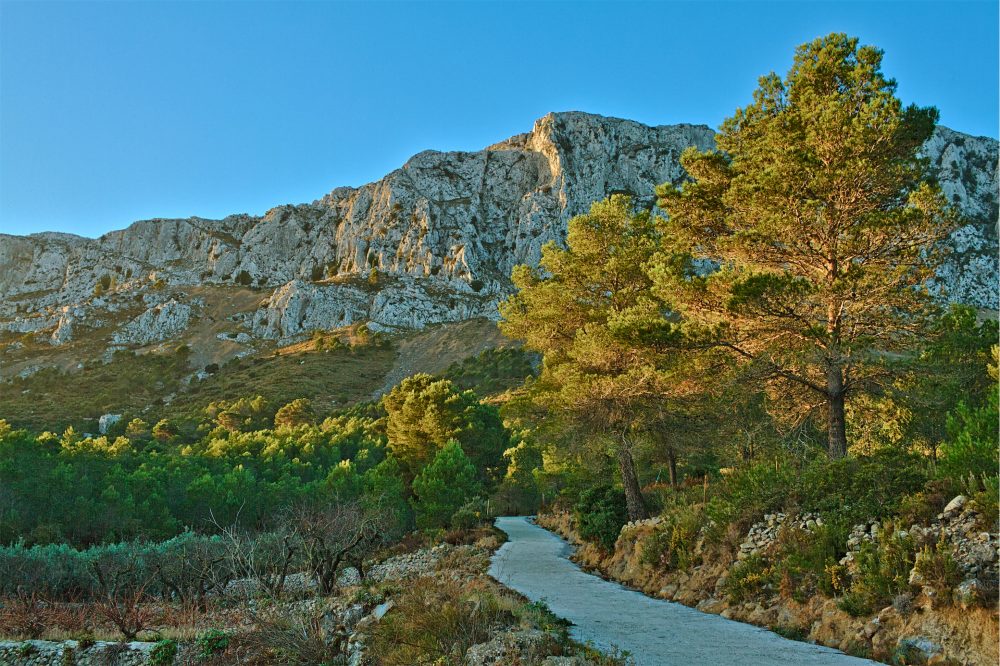 Dr Laura Ripoll González (@lauraripollgonz) on Twitter photo 📢Vius a la zona de la 🏞️Muntanya d'Alacant?
🙏Dedica'ns 10 minuts a compartir les teues experiences sobre el <a href="/Gal_rm/">J</a>:
- 🚜🌍Desenvolupament regional sostenible
- 🙋🙋♀️Participacio ciutadana i,
- 🗺️Identitat territorial
➡️questionnaire.eur.nl/brandsus/cat/
<a href="/ESSB_Erasmus/">ESSB_Erasmus</a> <a href="/FADIT/">Fadi Traboulsi</a> 📢Vius a la zona de la 🏞️Muntanya d'Alacant?
🙏Dedica'ns 10 minuts a compartir les teues experiences sobre el <a href="/Gal_rm/">J</a>:
- 🚜🌍Desenvolupament regional sostenible
- 🙋🙋♀️Participacio ciutadana i,
- 🗺️Identitat territorial
➡️questionnaire.eur.nl/brandsus/cat/
<a href="/ESSB_Erasmus/">ESSB_Erasmus</a> <a href="/FADIT/">Fadi Traboulsi</a>