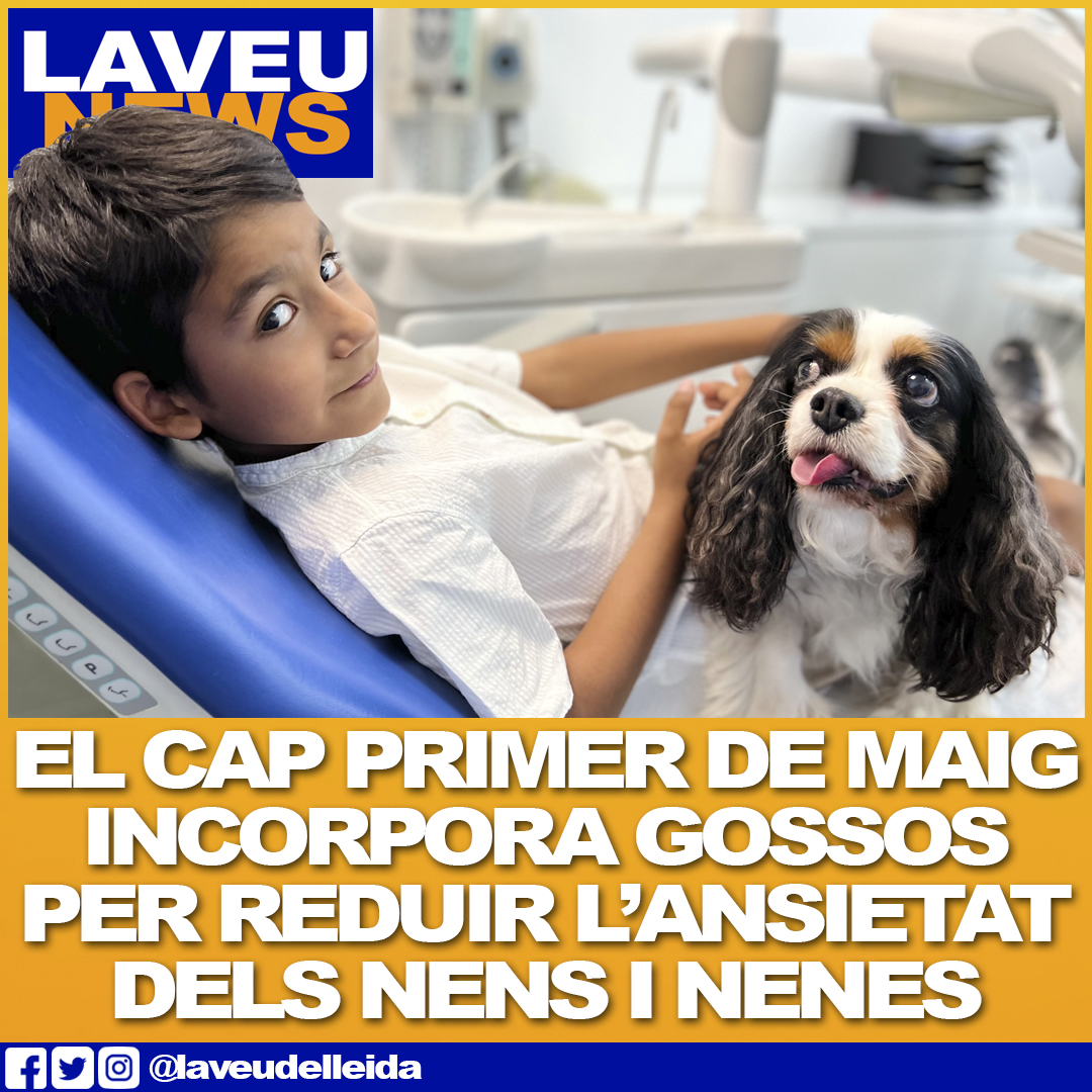 #laveunews: El servei de Pediatria del CAP Primer de Maig de #Lleida ha posat en marxa el projecte de teràpia assistida amb gossos Extra-Can, dirigit a infants de 3 a 8 anys que han de sotmetre's a una extracció sanguínia o dental.