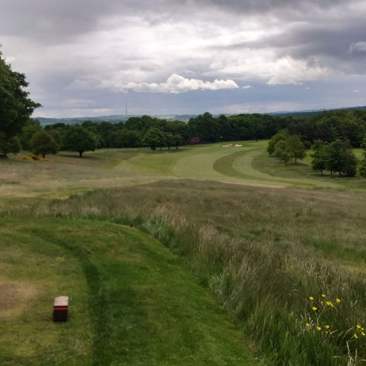 Cowcliffe looking well #16🏌️‍♀️🏌️‍♂️