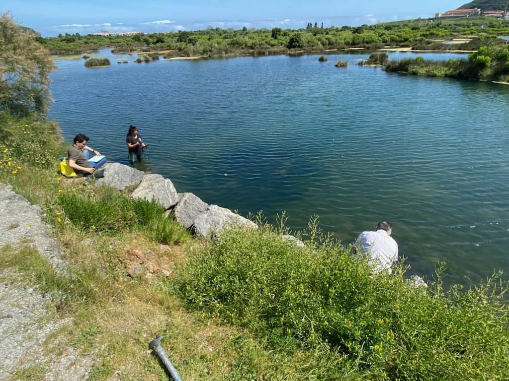 BIOMIC_project tweet media