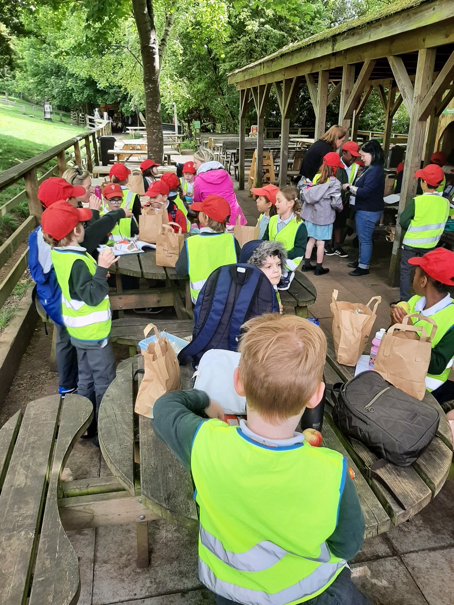 ssascommunity's tweet photo. Quick bite to eat. ..
@Mountfitchet https://t.co/bYLK8rMkrR