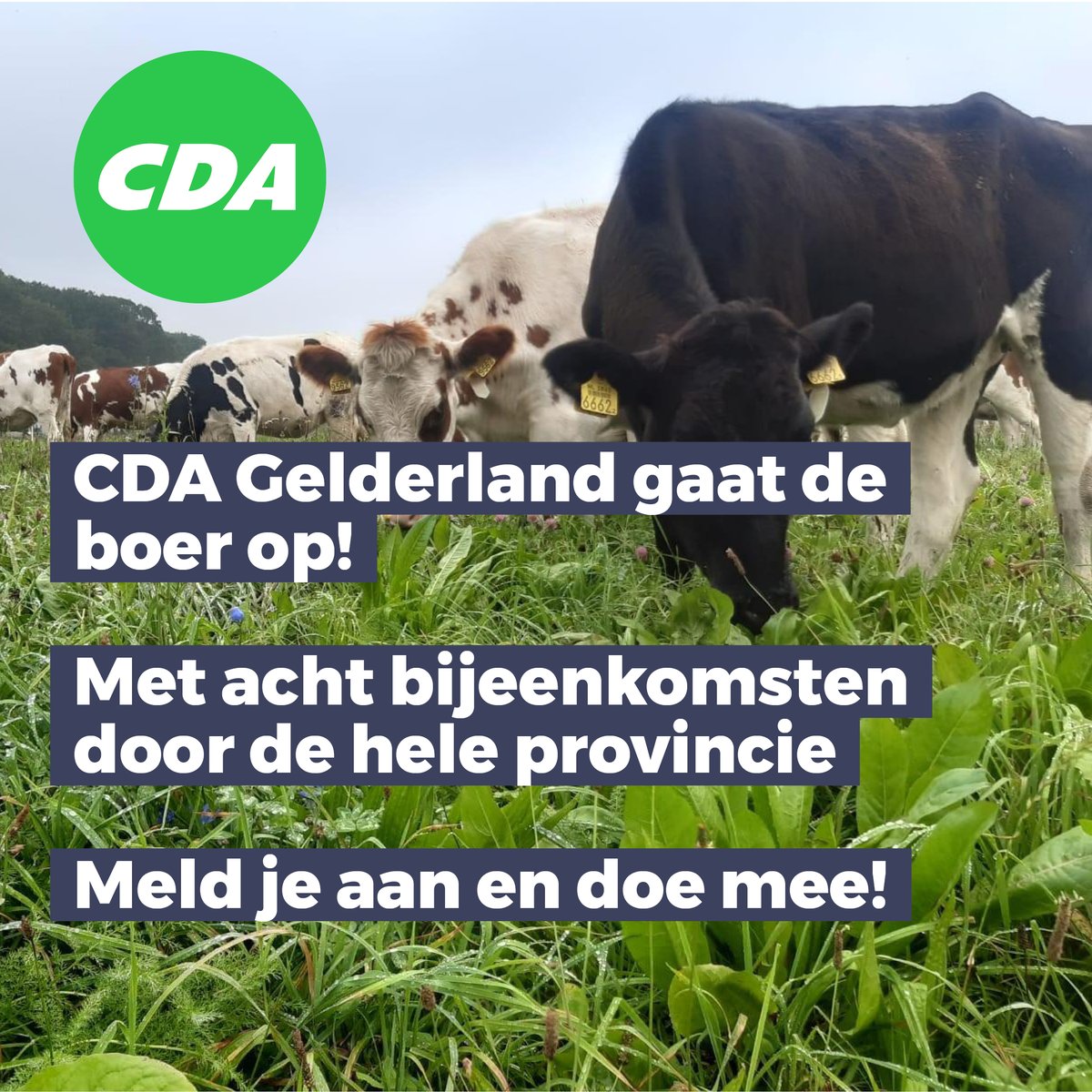 CDAGelderland's tweet photo. 🐮🐷🍎🚜Wij gaan de boer op! 🐮🐤🍎🚜
Van West Betuwe tot Aalten, van Scherpenzeel tot Doetinchem, van Epe tot Lingewaard en van Ede tot Berkelland. Ben jij CDA lid, sympathisant of agrarisch betrokken? Meld je aan! Met @Daisyvliegentha en @TolkampArjan  https://t.co/zbmPIu7QwQ https://t.co/VMqbMU9W7z