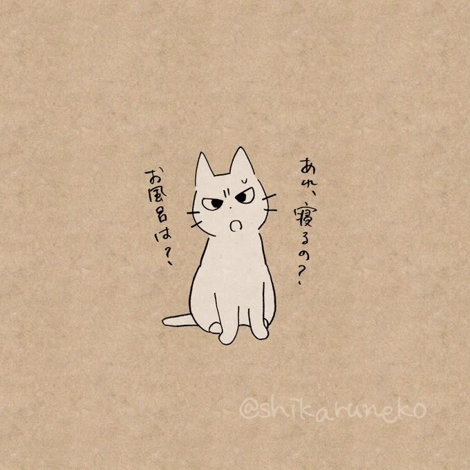 お風呂に毎日入らなくなった人を叱ってくれる猫 