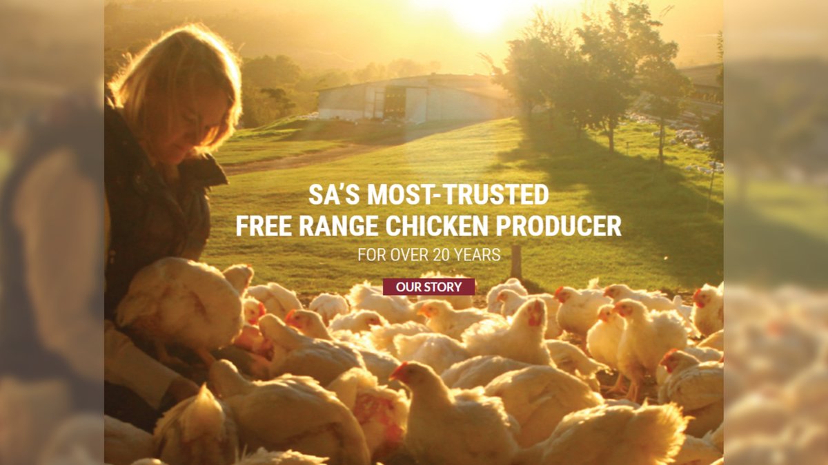 For over 20 Years Elgin Free Range Chickens has been SA's most-trusted free range chicken producer. 

To find an Elgin Factory Store near you - click here: freerangechickens.co.za/find-our-chick…

Head Office
021-859 2795

#EFRC #Elgin #FreeRange