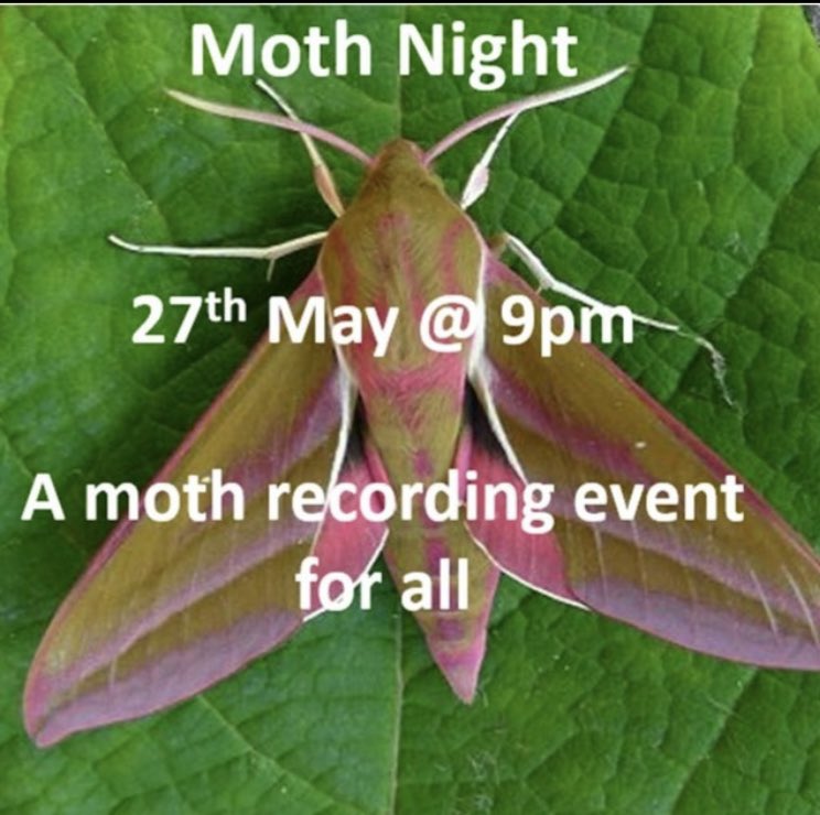 Join us for a moth recording event in association with @BCDevon @DevonMoths. Postbridge, Dartmoor. Email ellie@shallowfordfarm.co.uk to book @JennyPlackett @MothNight #Entomology #greenrecoverychallengefund #togetherforourplanet #mothnight