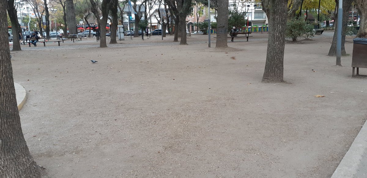 nicoylisto's tweet photo. Plaza Conesa, la del corte de césped de millones de pesos de #MayraTeRoba

Si no sabe de césped champagne, no opine. https://t.co/wU9q3TXjvd