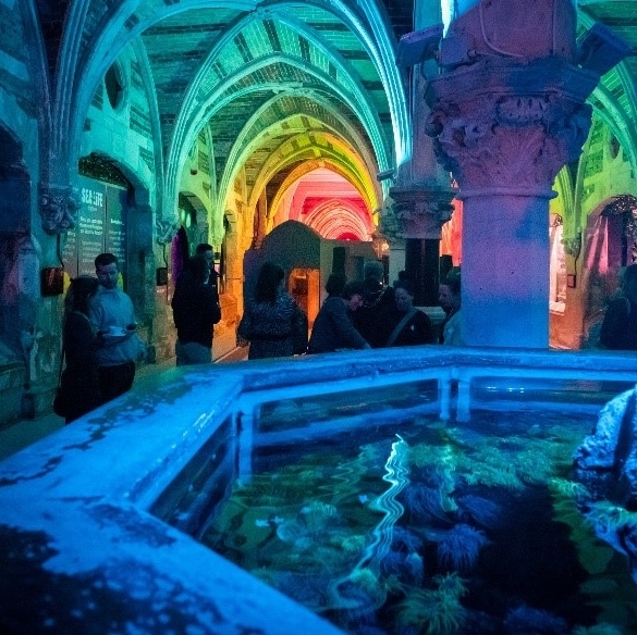 CrownPartner's tweet photo. The team at Seasoned and Merlin Venues recently put on a breakfast morning at SEA LIFE Brighton to show guests around the main event areas.

With the aquarium recently allowing events there, it seemed like an appropriate time to give people a feel for the space

#Seasoned #Merlin https://t.co/kbwjxtRwpB